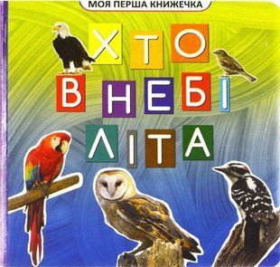 .Джамбо Моя перша книжечка Хто в небі літа 586226 фото