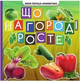 .Джамбо Моя перша книжечка Що на городі росте 586225 фото